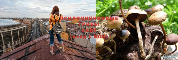 не бодяженный Горняк