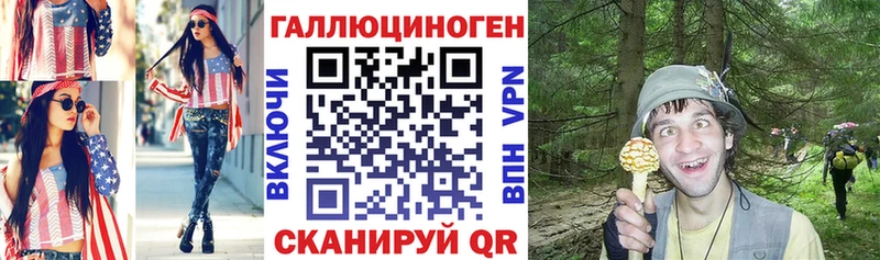 Псилоцибиновые грибы Psilocybine cubensis  закладки  Северская 