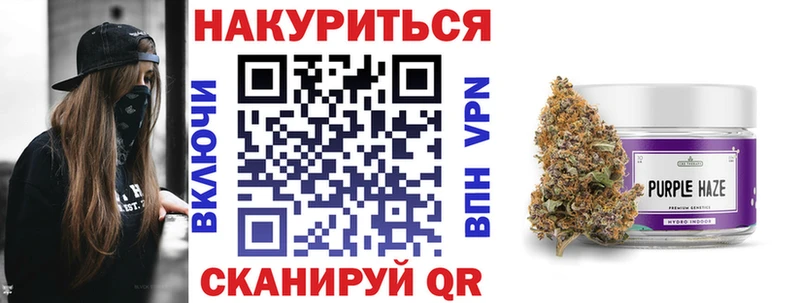 Каннабис семена  Северская 